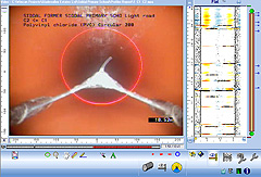 Laser Profiling Screen Shot